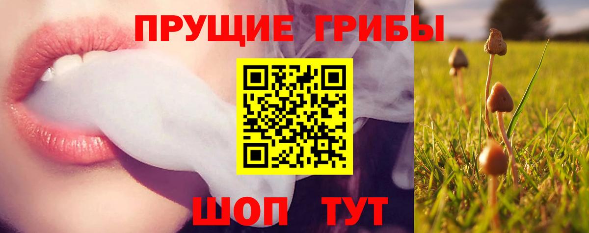 Псилоцибиновые грибы Magic Shrooms Ростов-на-Дону