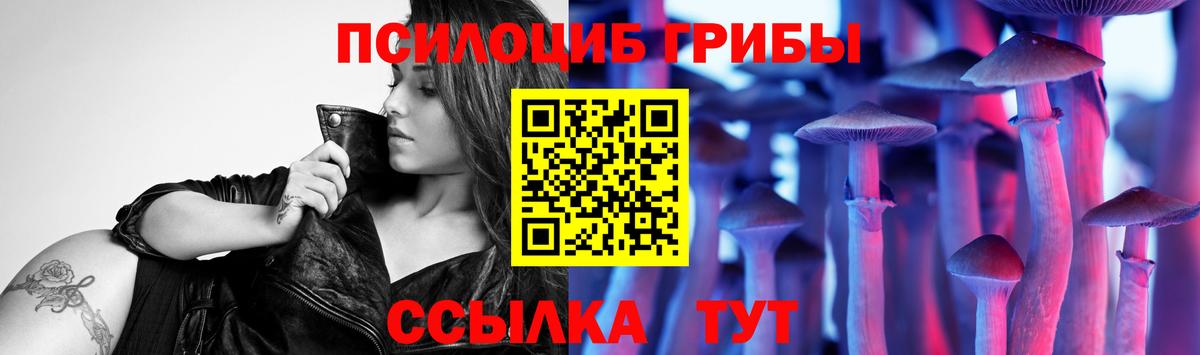 Ростов-на-Дону  как найти закладки  Вход с VPN  Галлюциногенные грибы ЛСД  Галлюциногенные грибы GOLDEN TEACHER 